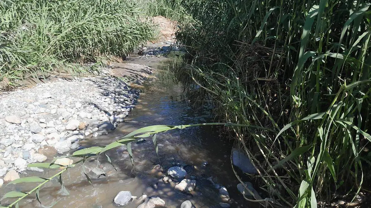 Se inconformaron por las descargas que granjas y una escuela están haciendo en el Río Tehuacán o Río Seco